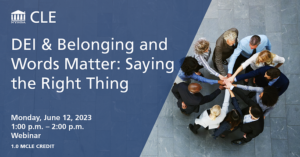 DEI and Belonging And Words Matter