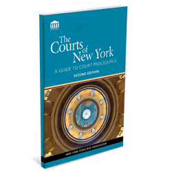 The Courts Of New York: A Guide To Court Procedures, Second Edition