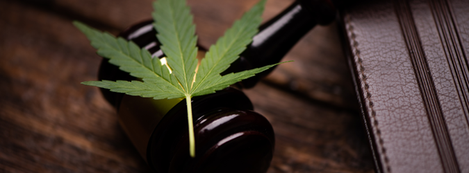 Cannabis Conviction on Your Record_675