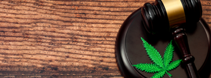 Expungement of Cannabis_675