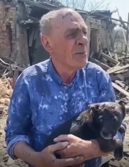 puppy in rubble 2