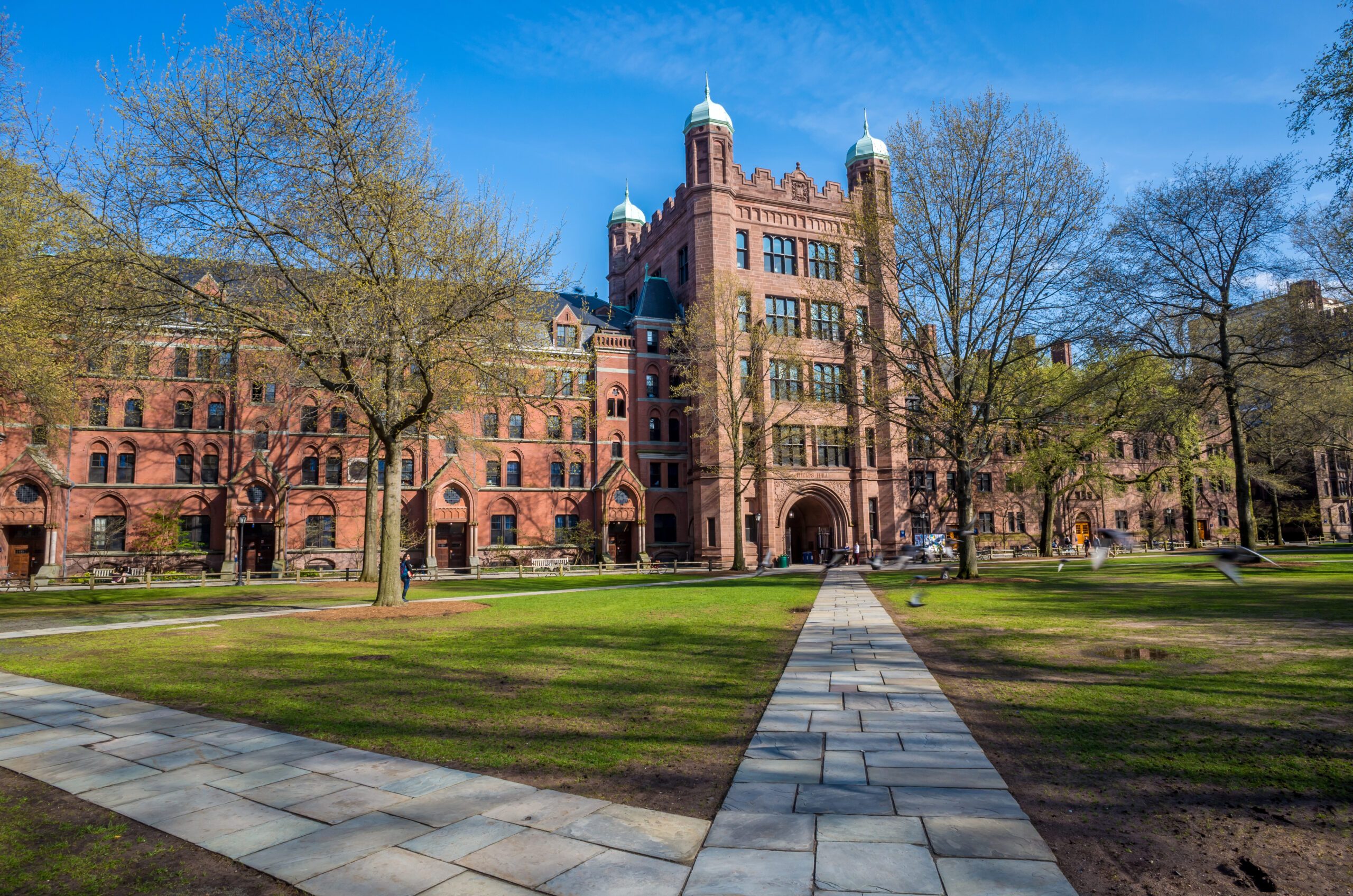 analysis-of-admissions-policy-changes-at-yale-new-york-state-bar