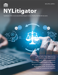 NY Litigator Vol 28 No 2