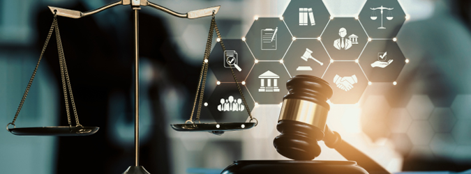 Securities Litigation Update 2024_675