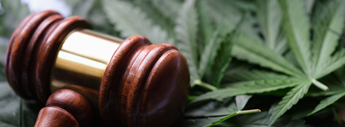 Reimagining Cannabis Regulation Rescheduling vs. Descheduling_675