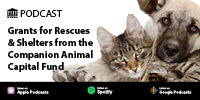 AnimalsPodcast_200