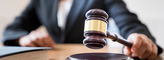 Meet the Female Judges_social4