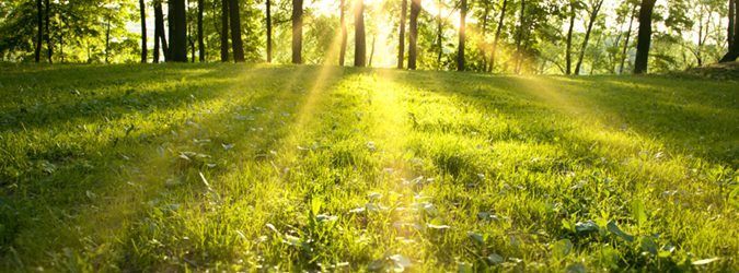 Antitrust Section Spring Fling_675