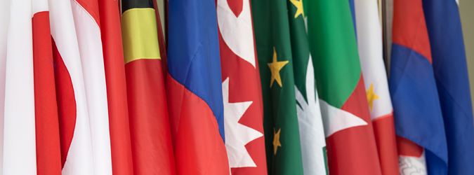 Litigation in the Asia-Pacific Region III_675