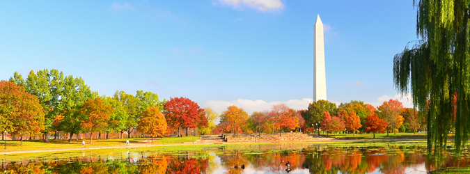 LSGL_Fall Meeting_22_675