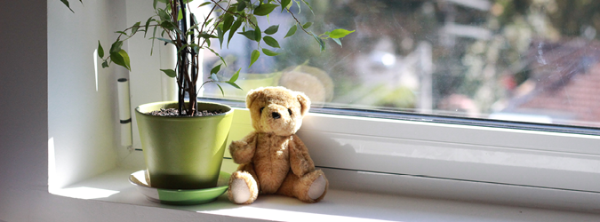 Advanced Topics and The Hague Abduction Convention _675