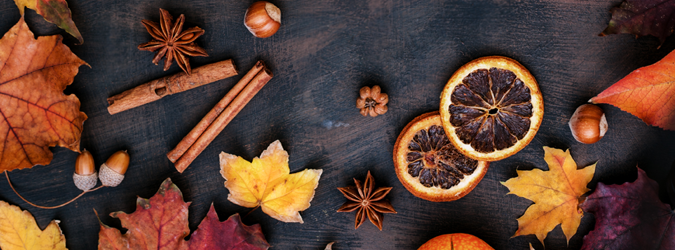 The Science of Gratitude_675