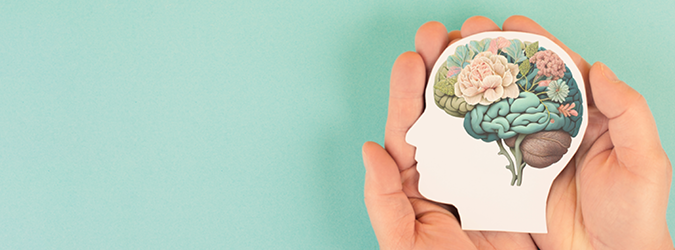 Lawyers Assistance_VR_675