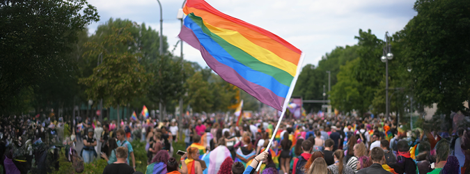 LGBTQ+ Law Section Connect- Coming Out Week Virtual Membership Meeting_675