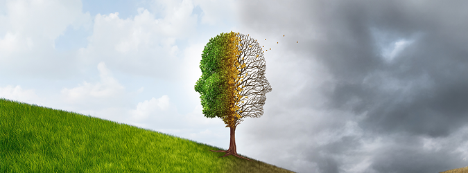 Recognizing Cognitive Decline in the Legal Profession_675