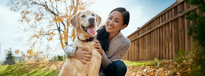 Decisions Impacting Companion Animals and Their Owners_675