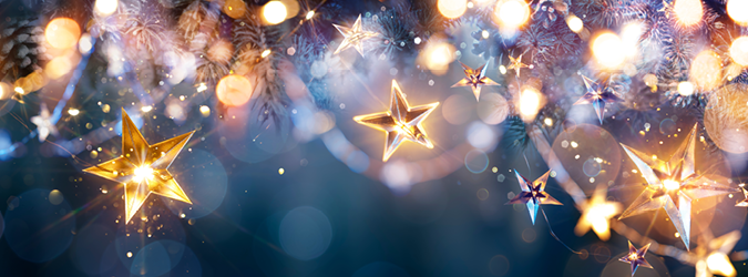 NYSBA Section’s Holiday Party 2025_675