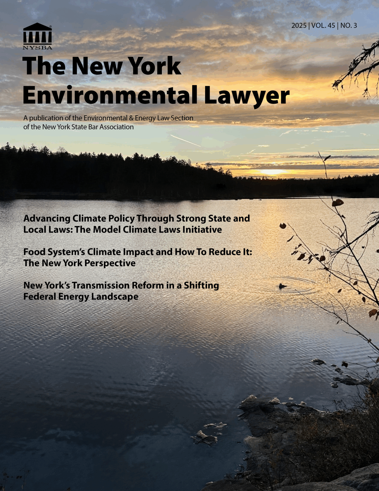Env Lawyer Vol 45 No 3