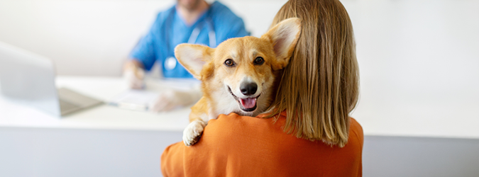 The End-of-Life Journey With Our Beloved Animals_Session 1_675