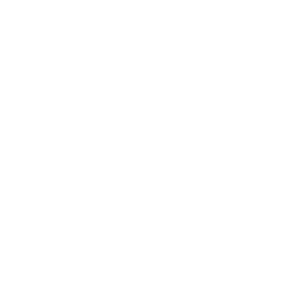 Remote Control Icon