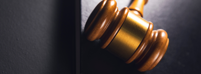 2025 Securities Litigation_675