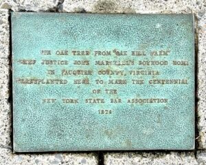 One Elk Street Oak Tree Plaque