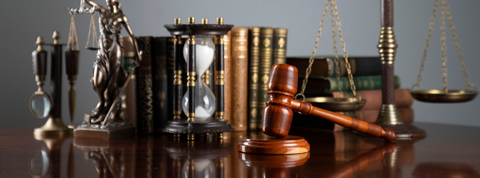 Basics of Guardianship_2026_675