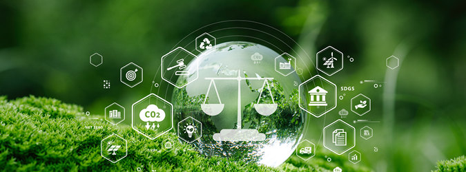 The Lawyers Role_675