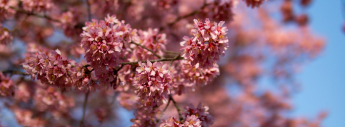 2026 Antitrust Spring Fling_675