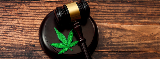 Day in the Life of a Cannabis Lawyer_675