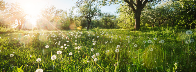 Real Property Law Section Spring Membership Reception_675