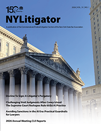 NY Litigator Vol 31 No 1