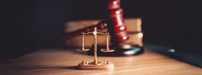 Navigating Ethical Issues Surrogates Court