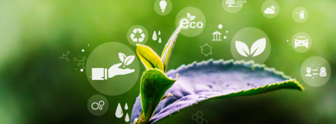 A close-up of a green plant with eco-friendly icons, such as leaves, recycling, water drops, and electric car, floating around it on a blurred green background.