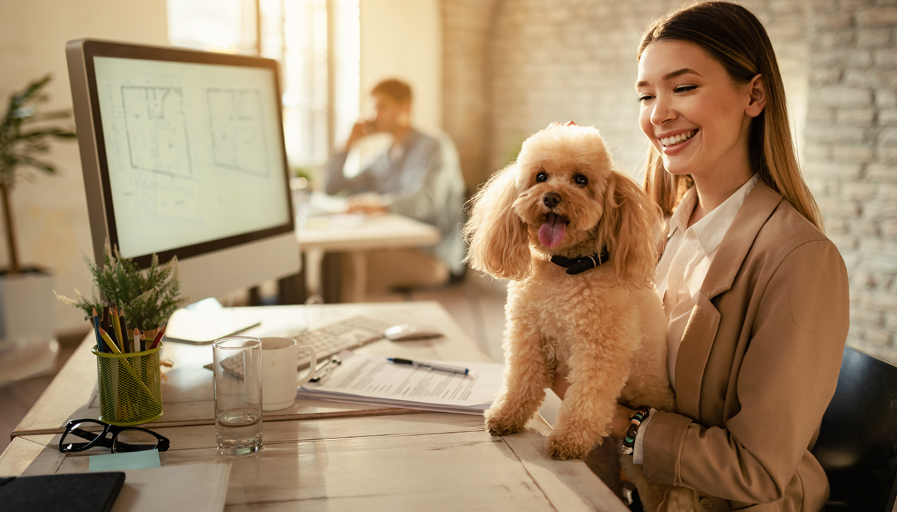 A smiling woman in business attire sits at a desk with a fluffy dog on her lap. There are papers, a computer, and a plant on the desk. Another person works in the background. Sunlight streams through the window.